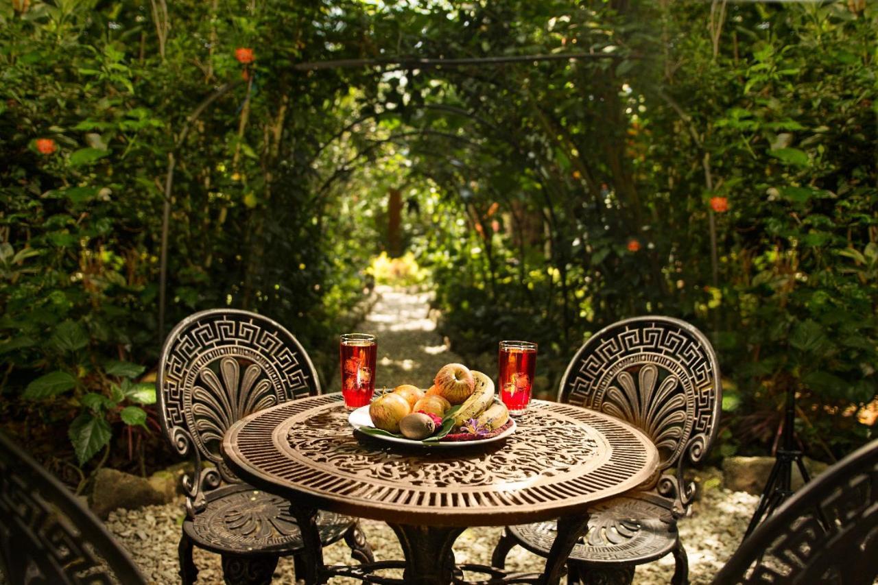 Itchimbia Garden Ayampe Montana Y Mar Villa Luaran gambar
